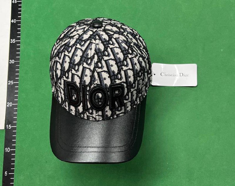  Dior cap   (40 CP)