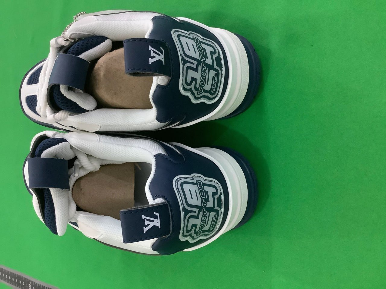 LV Louis Vuitton Trainer Shoes Sneakers