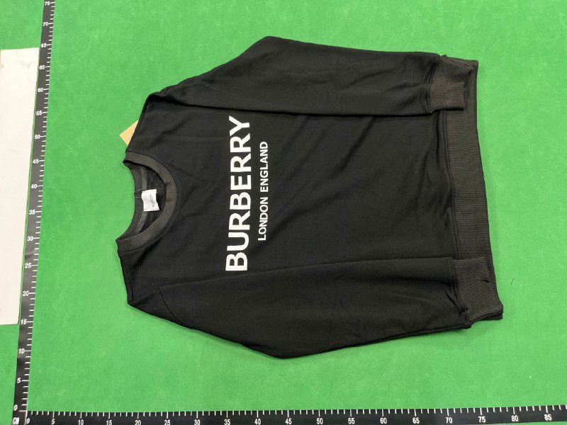  Burberry hoodie