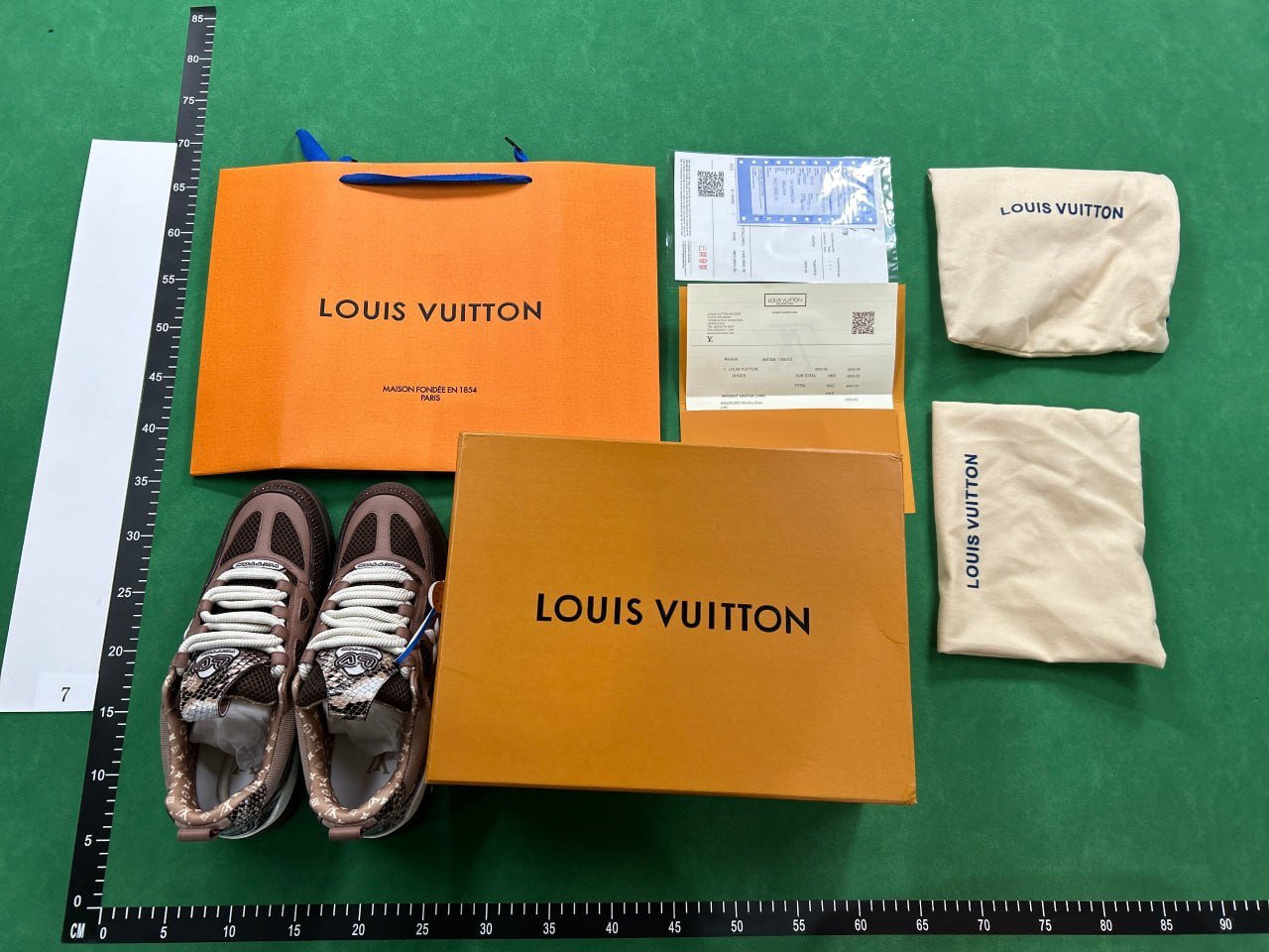 LOUIS VUITTON SKATE