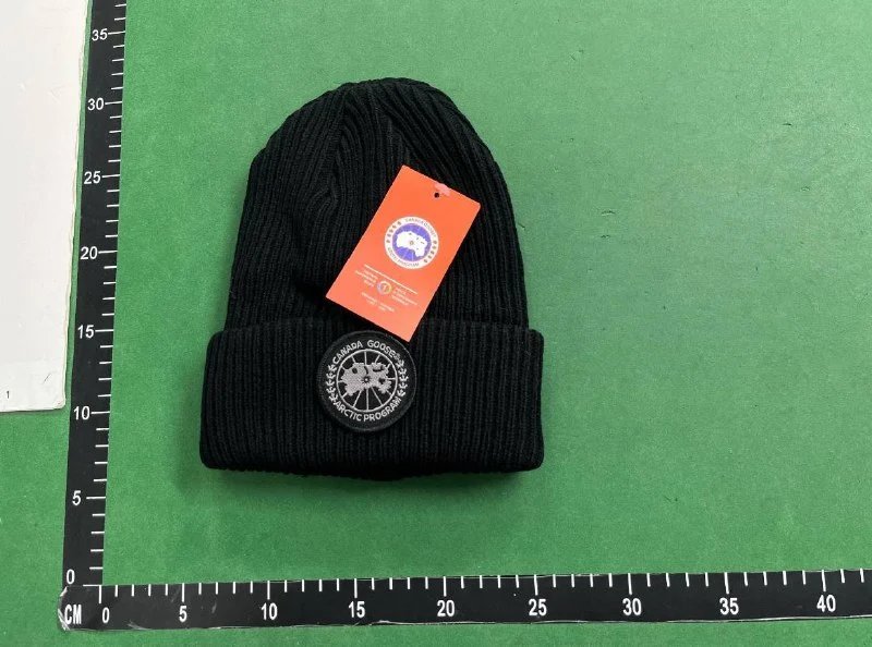 Canada Goose/DSQ2 Beanie（38+ Styles