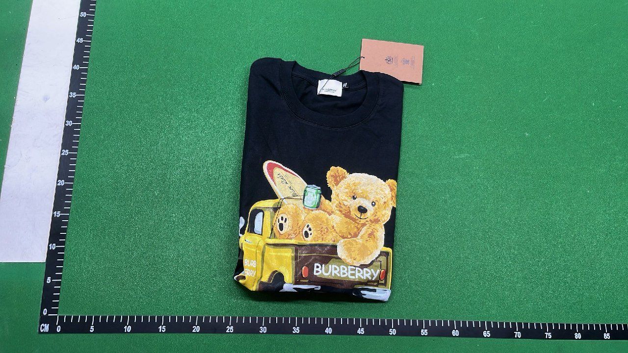 Burberry Graphic Print T-Shirt for Men